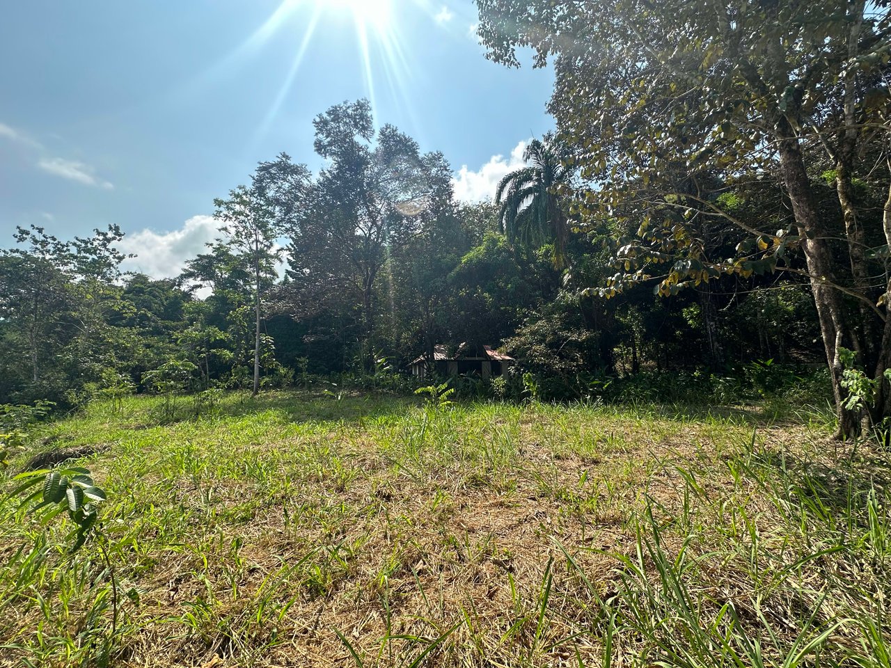 INVESTMENT OPPORTUNITY IN PLATANILLO – YOUR FIXER-UPPER DREAM WALKING DISTANCE TO NAUYACA WATERFALL