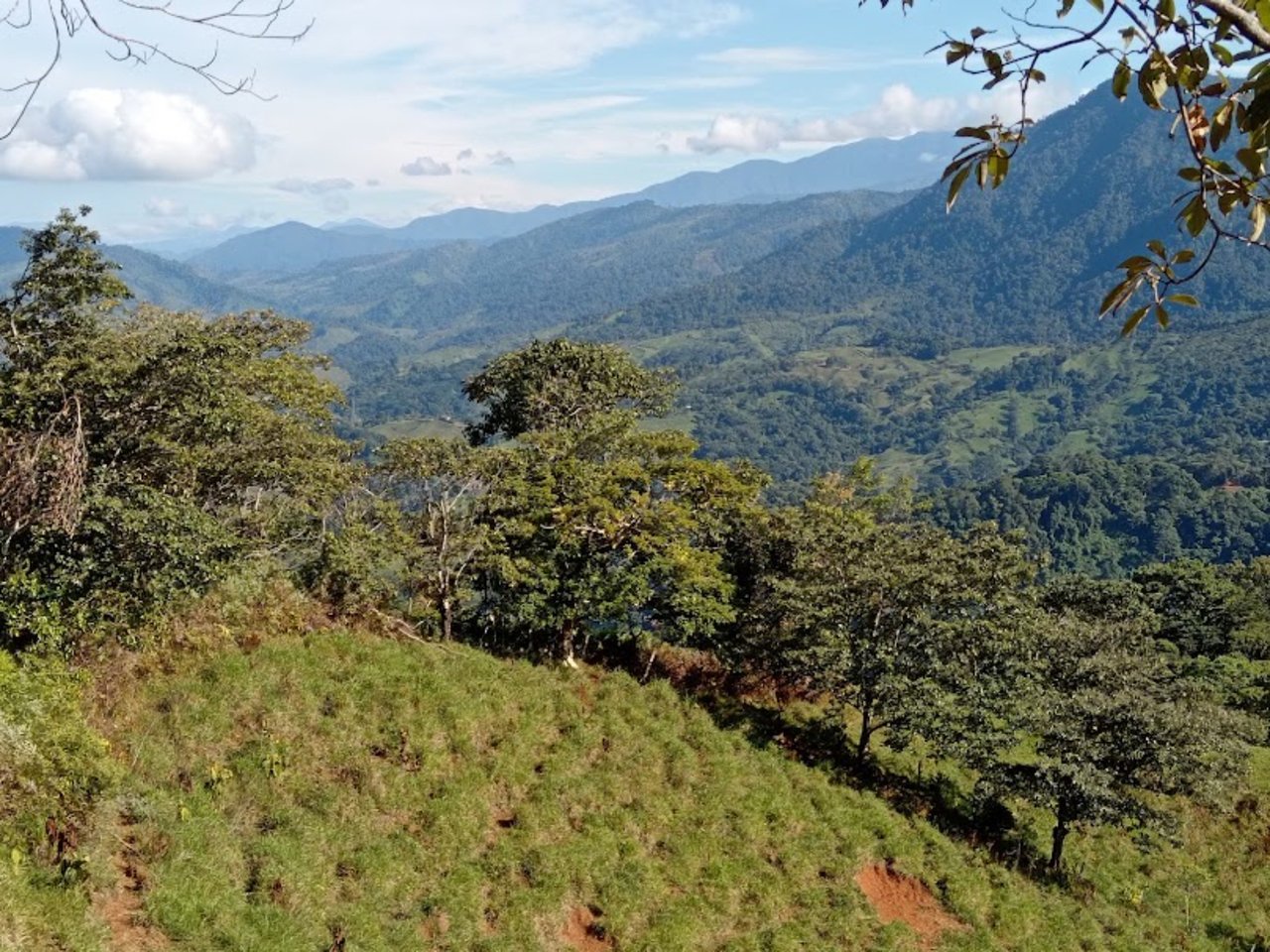Ocean View Spring Acreage, Perez Zeledon, San Jose