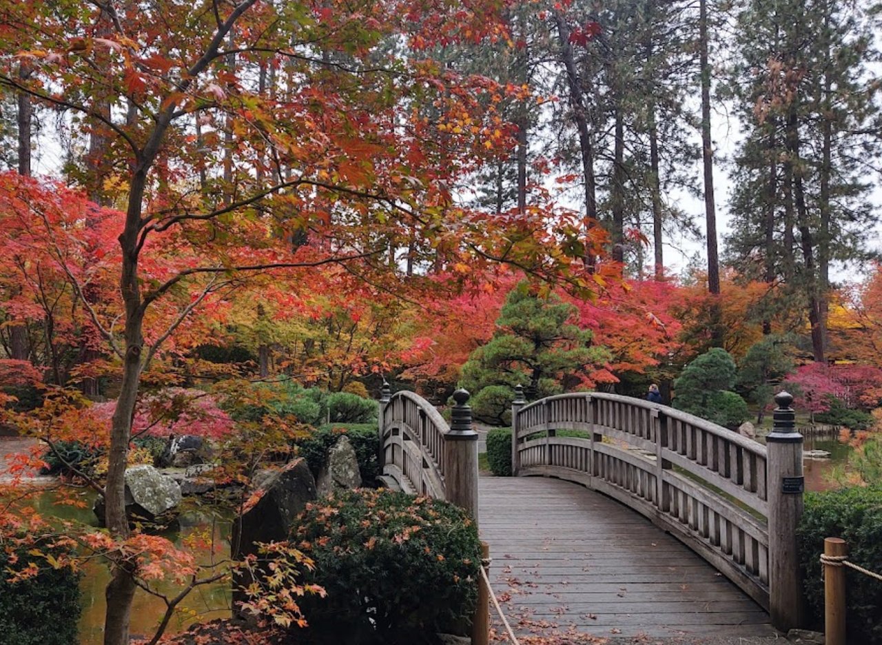 Japanese Gardens 