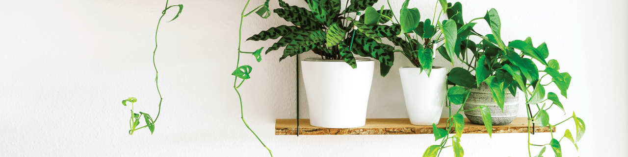 Workable Walls | Maximizing Wall Space in Small Spaces