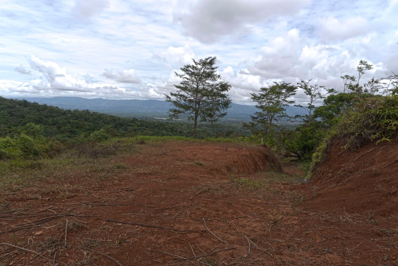Sierpe Sunset and Jungle Views, 10 Acre Property, OSA!