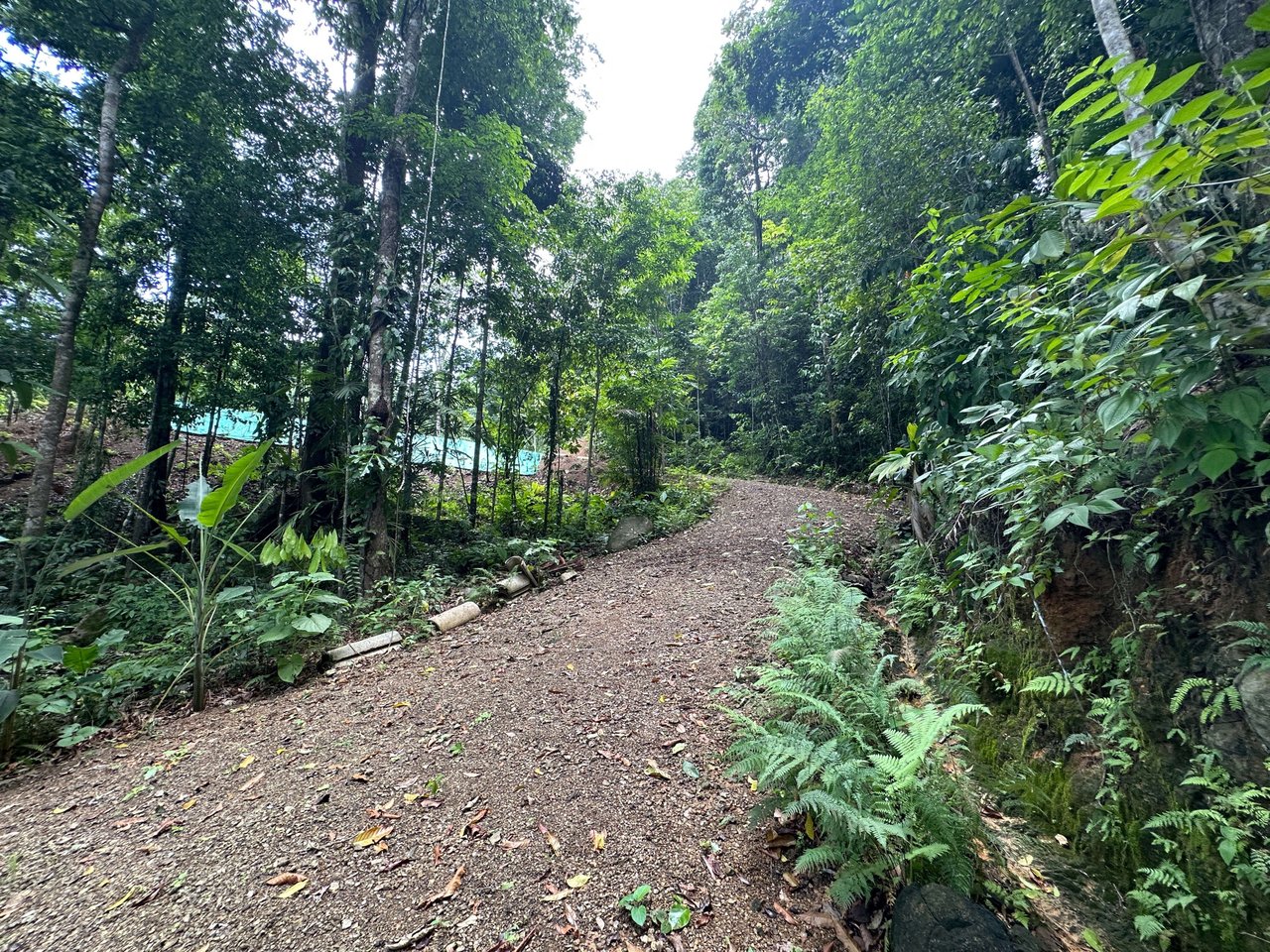 5.77 Acres With 4 Building Sites. Ocean Views, Rivers And Rainforest Abound In Cinco Ventanas! Ojochal 