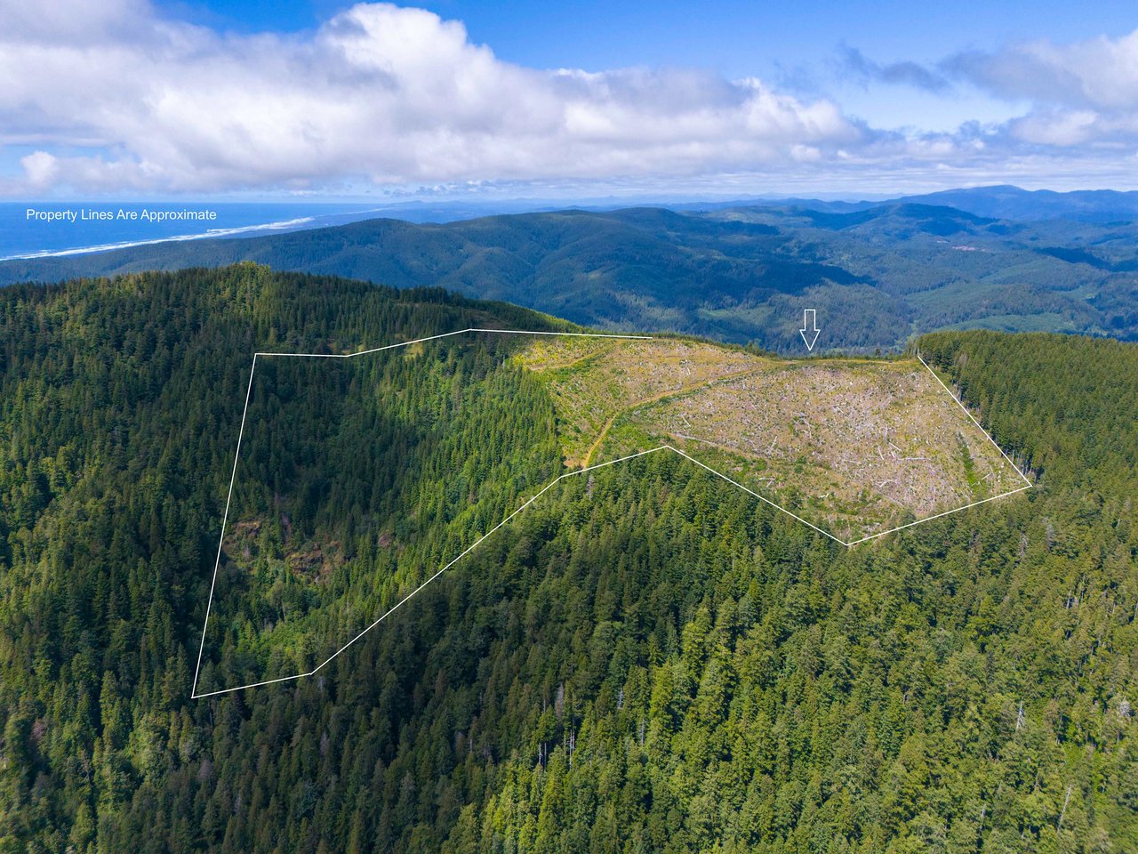 Cummins Creek Wilderness Overlook