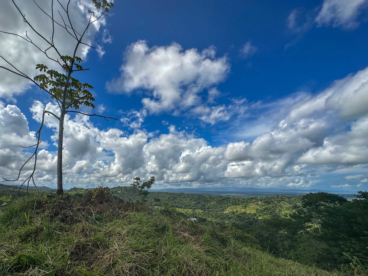 Ocean & Mountain View Half-Acre Lot in Gated Chontales Community