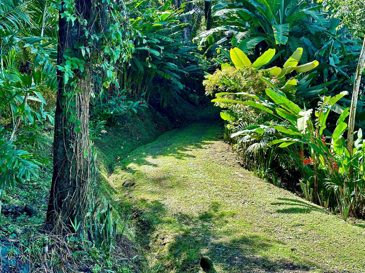 BEST OCEAN VIEW LOT Including WHALE TAIL BEACH, CAÑO ISLAND and other ISLANDS!