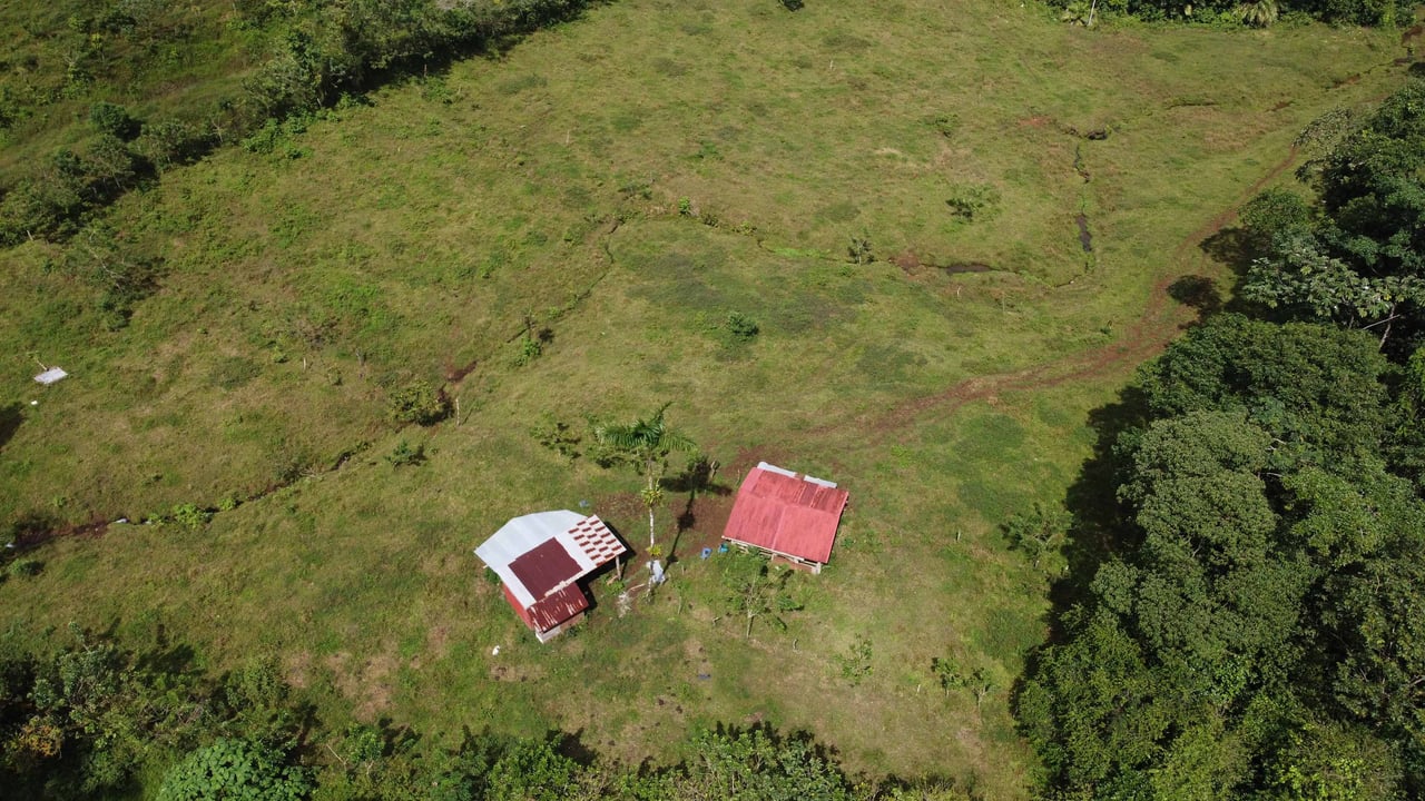 Finca Zapote | The vast 11-hectare property of this paradise is open for exploration and is awaiting your discovery.