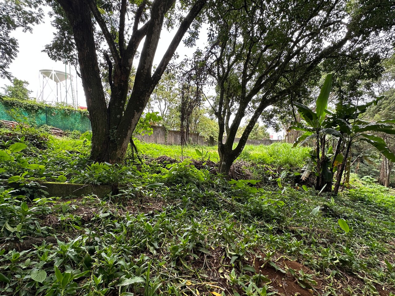 Lush Butterfly Garden Building Lot, Heredia