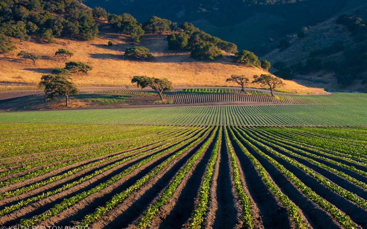 Santa Ynez