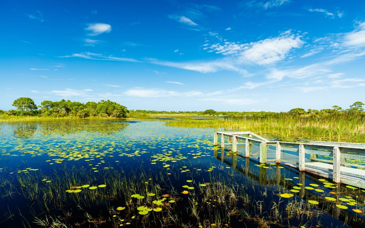 Port Saint Lucie