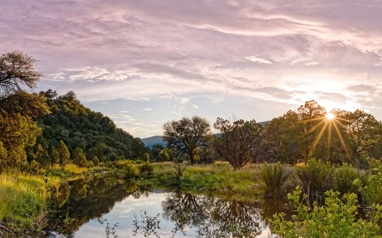 Living on a Texas Ranch: What You Need to Know