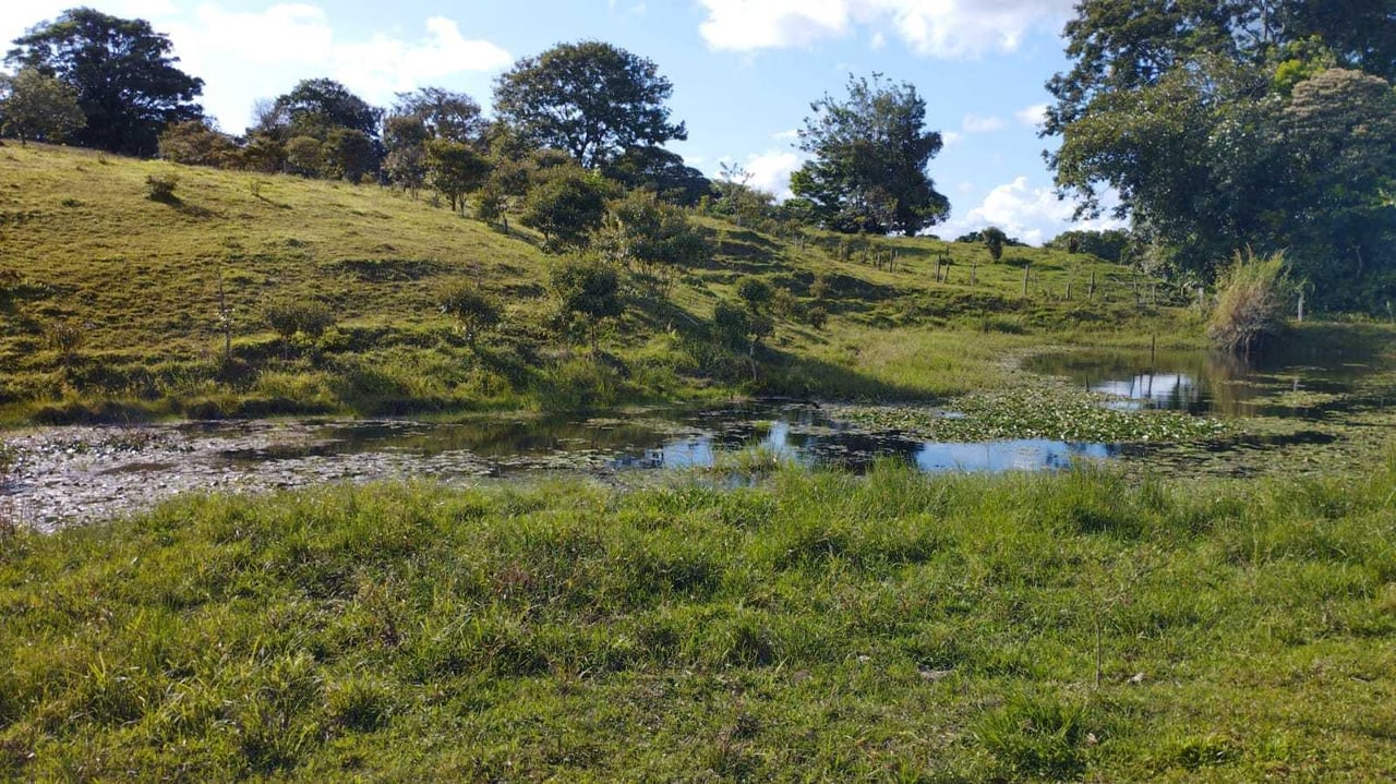 Development Farm Private Lake, Lake Arenal, Alajuela