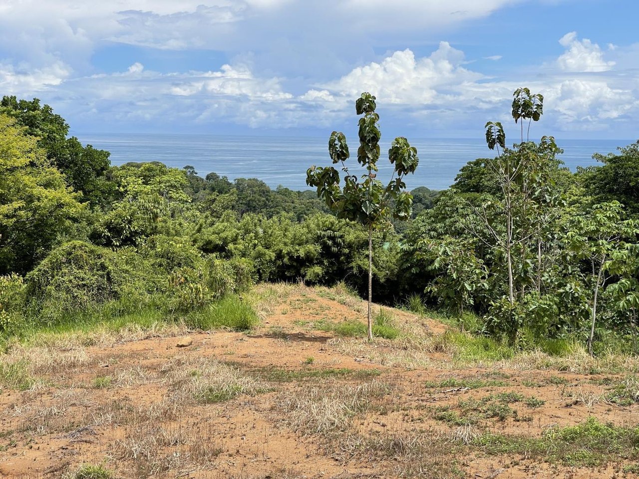 15.9 ACRES – Ocean View Development Property With Legal Water, Public Road, 5 Min From Highway!