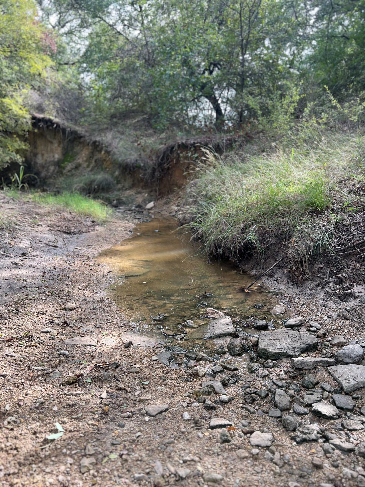 May Creek Ranchette | 10 +/- ACRES | Brown County, Texas