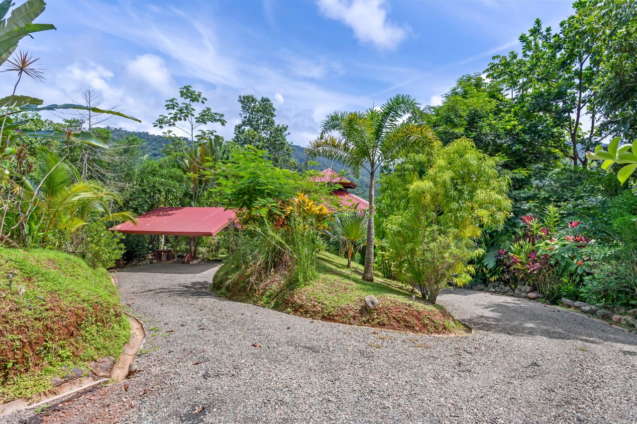 Casa Loro Verde,  Rainforest Jungle Retreat Home on 5.24 Acres in Portalon!