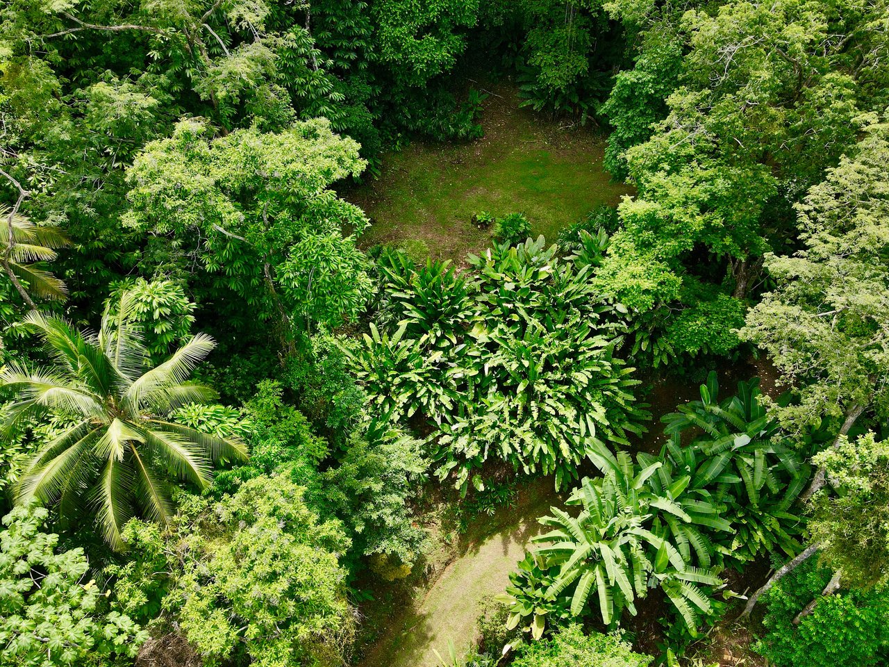 BEST OCEAN VIEW LOT Including WHALE TAIL BEACH, CAÑO ISLAND and other ISLANDS!