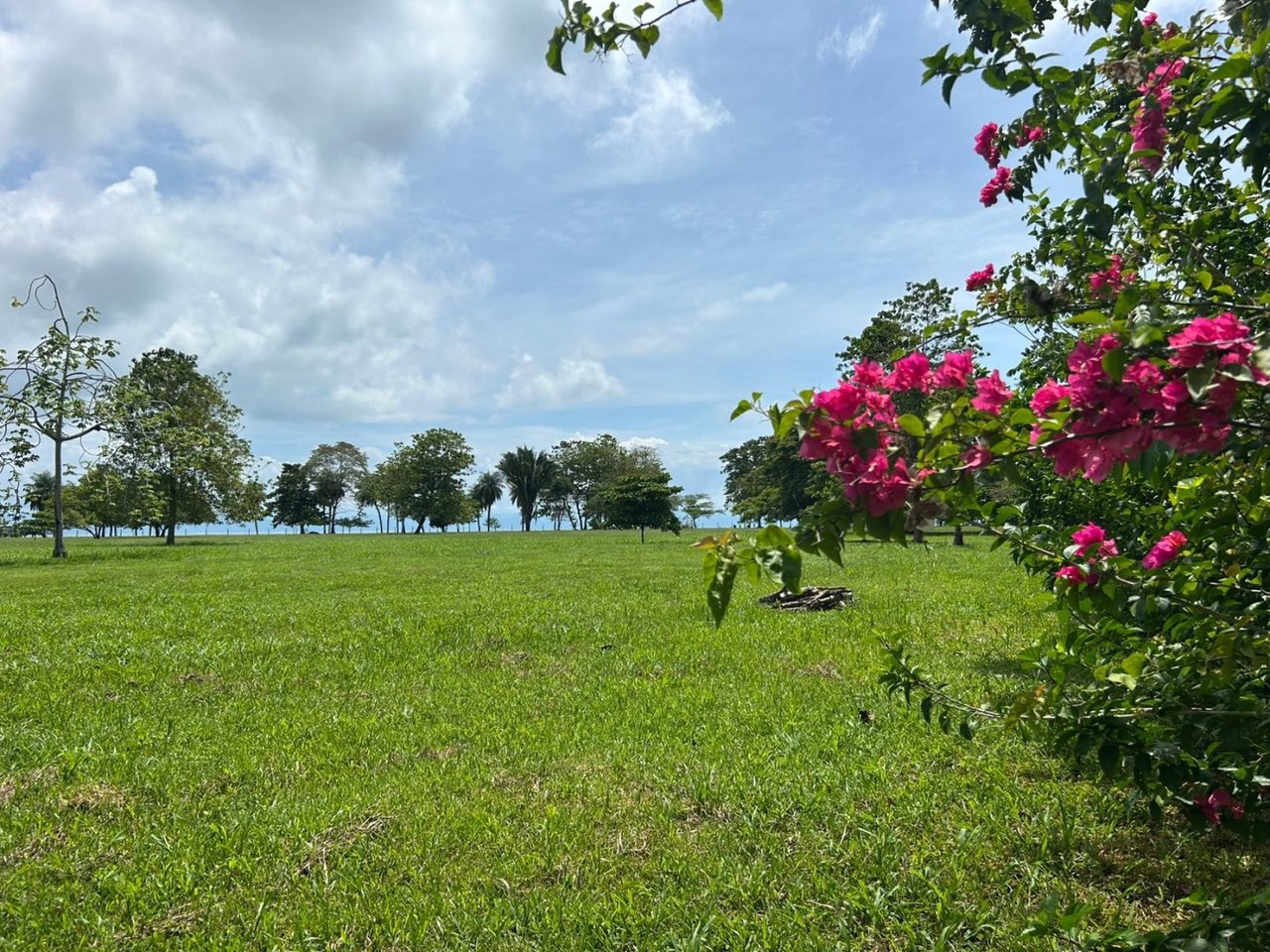 Titled Beachfront Development Land, Osa, Puntarenas