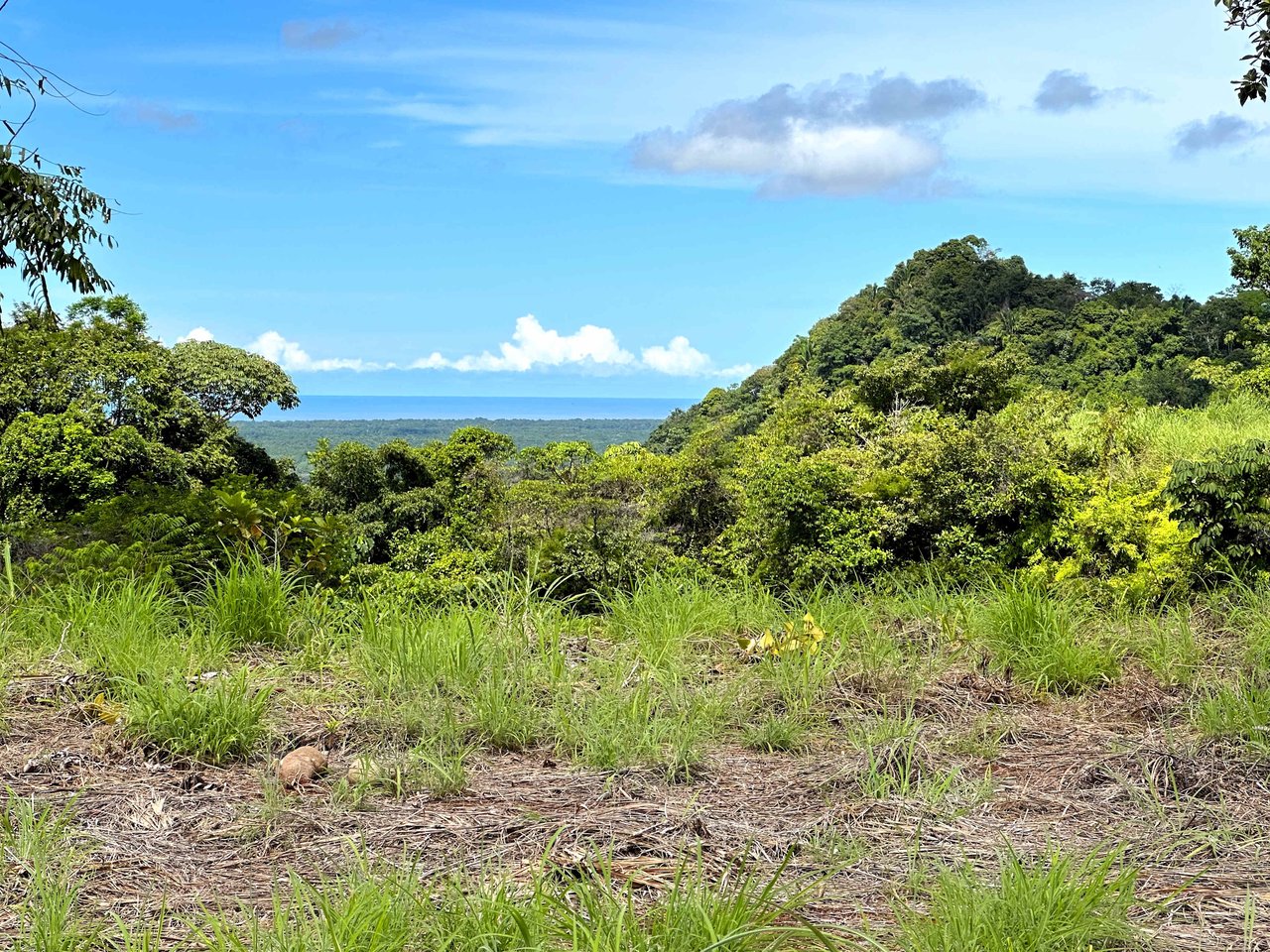 2 Acres Property with 360 Panoramic Views!