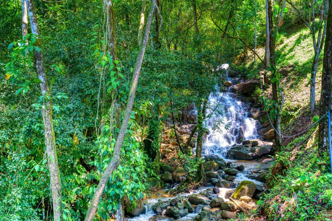 Waterfall Ocean View Land, Dominical, Puntarenas