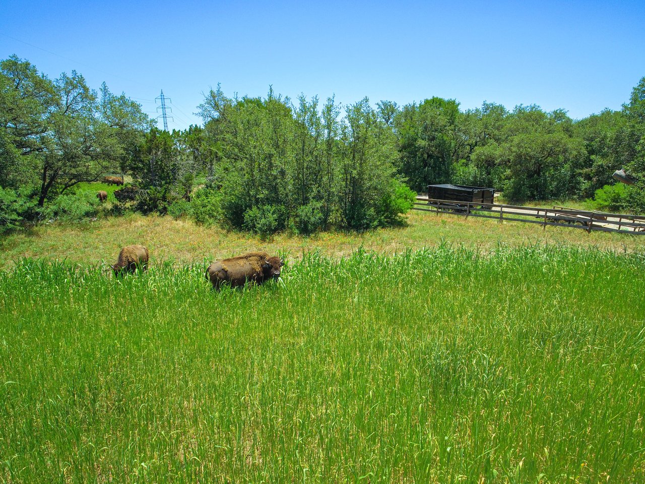 Ranches and Ranchettes