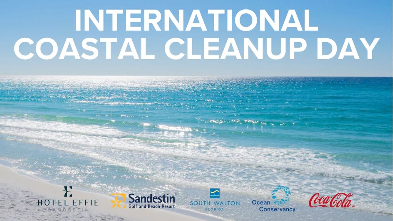 International Coastal Cleanup Day at Sandestin