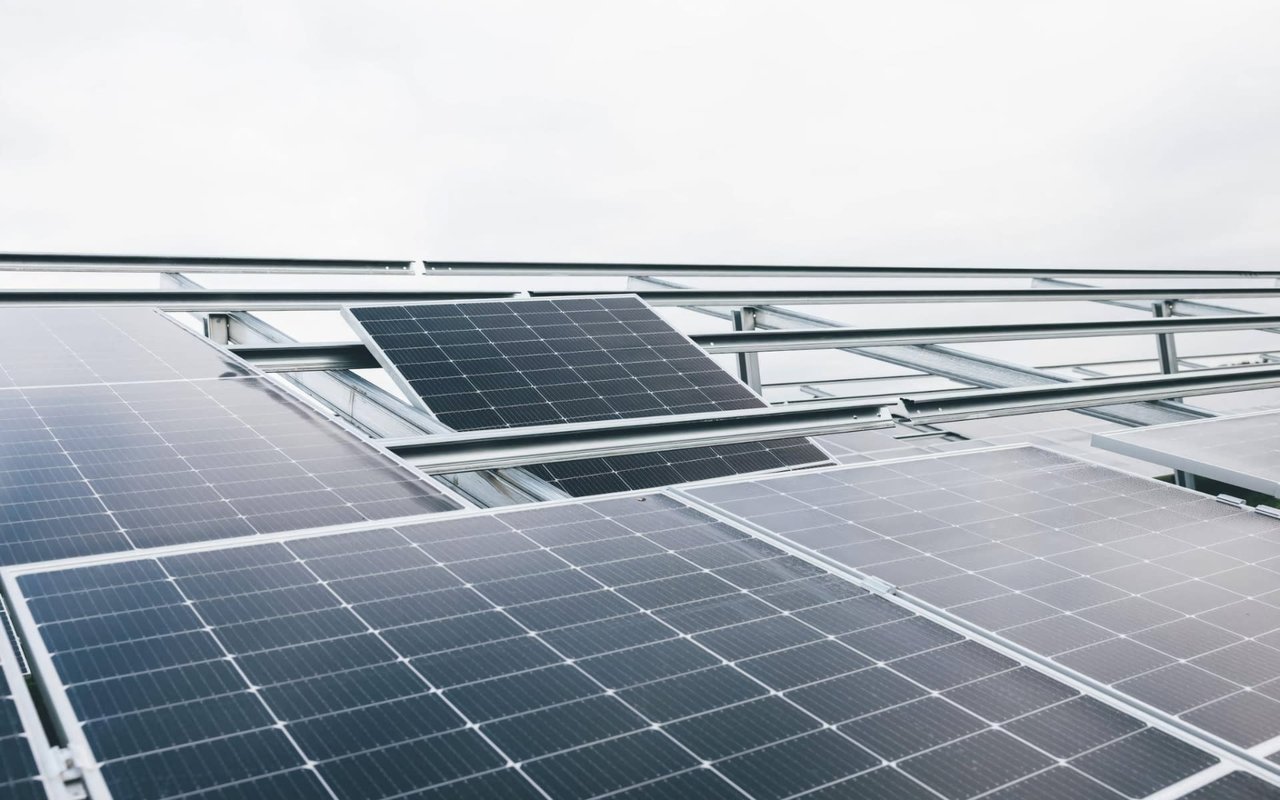 Sustainable Living in South Tampa: Embracing Eco-Friendly Practices