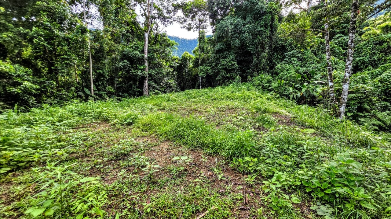 Rainforest Waterfall Acreage Estate, Dominical, Puntarenas