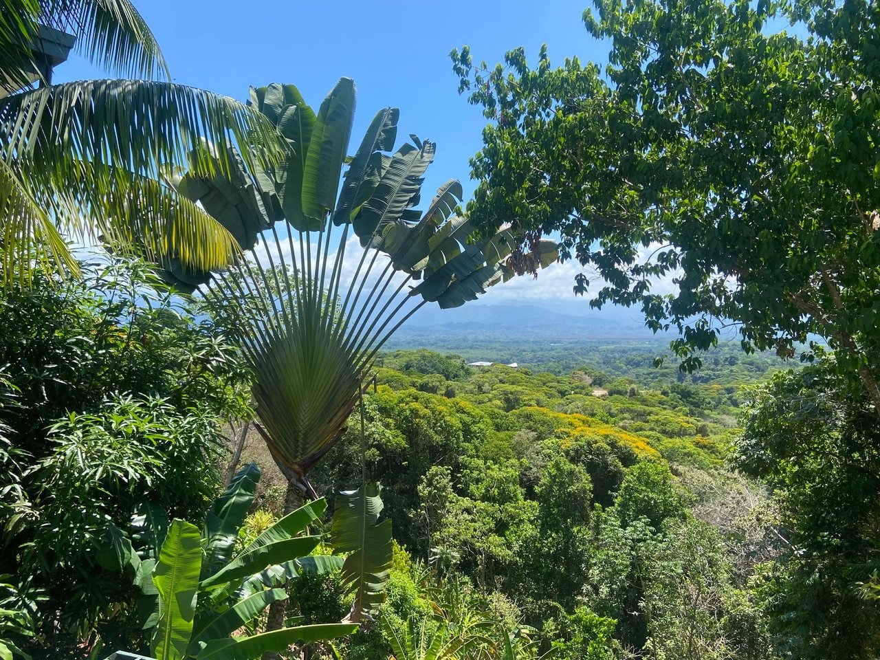 Gated Multi Unit Rental Estate, Manuel Antonio, Puntarenas