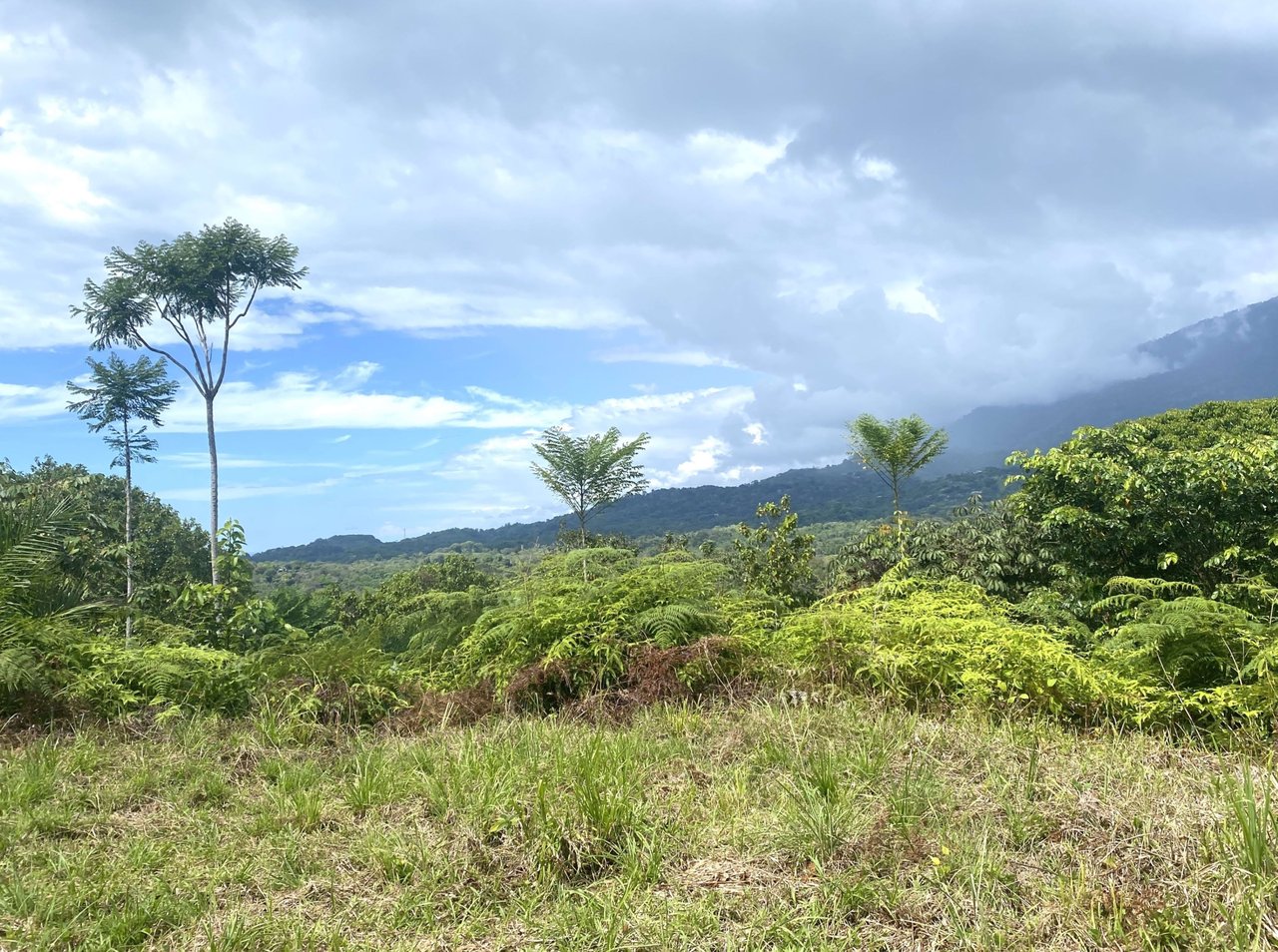 Majestic Expansive Mountain Backdrop
