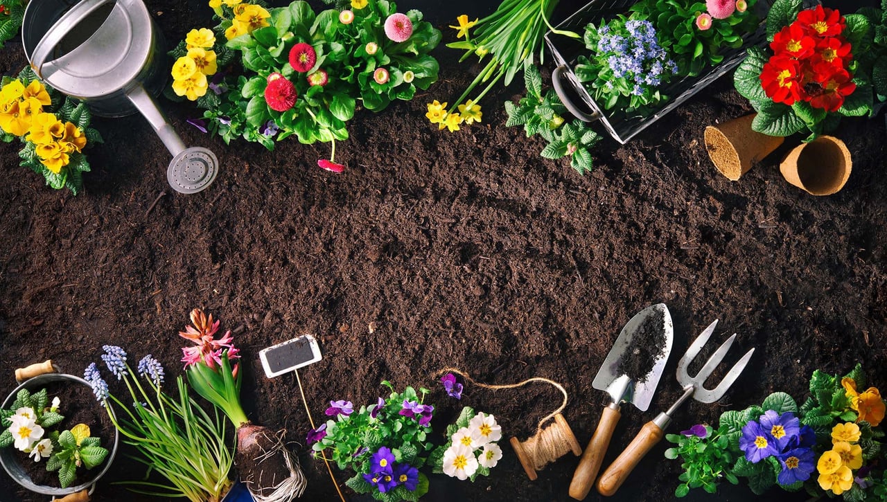Welcoming Spring in Bucks County and Philadelphia: A Season of Renewal and Charm