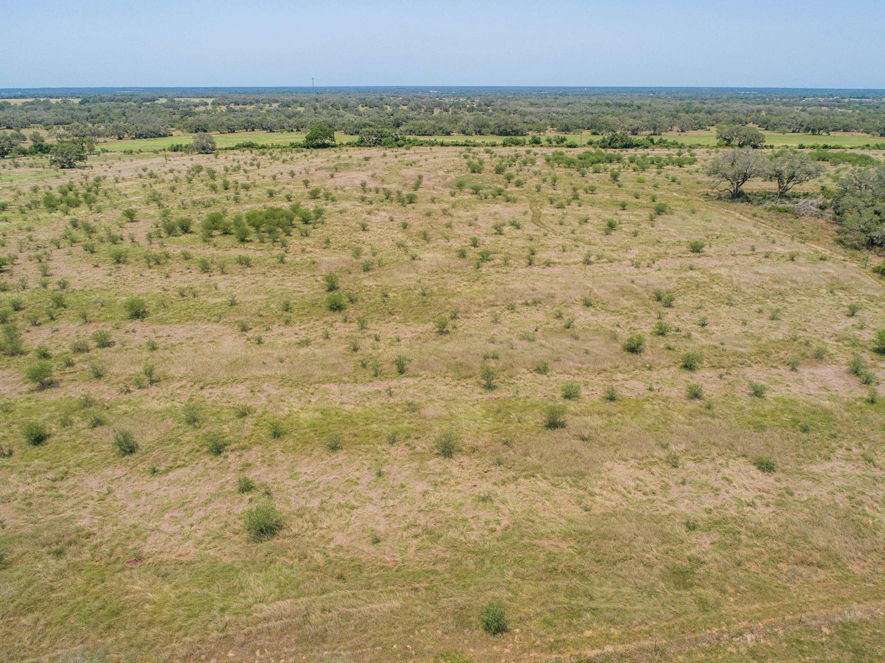 Green DeWitt Rd | 40.82± Acres | DeWitt County