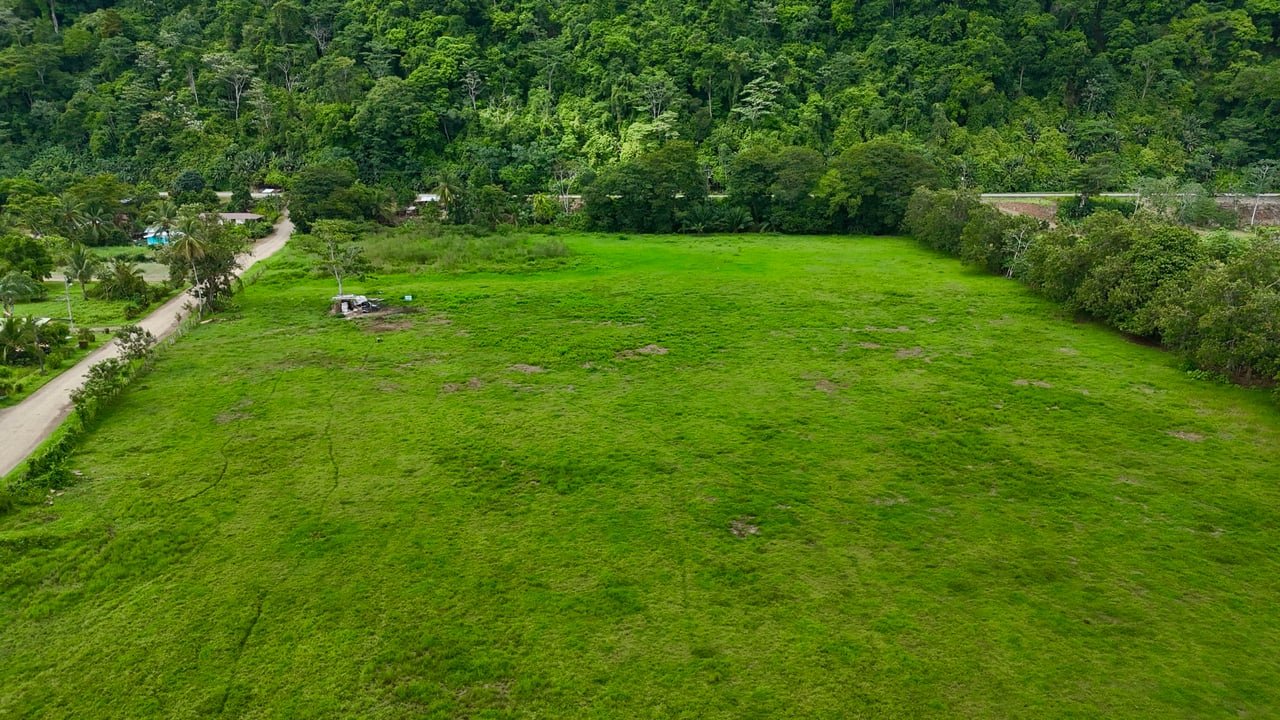 Fire Sale – Over 12 Acres of Land with Public Road Frontage Near Ojochal