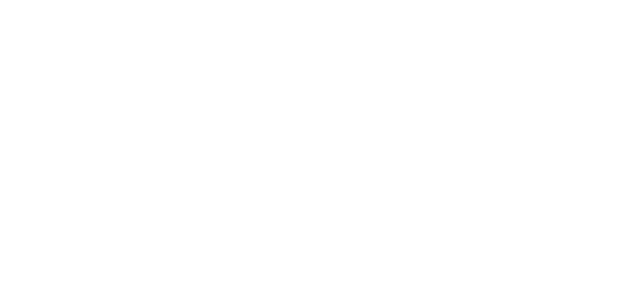 Light Logo