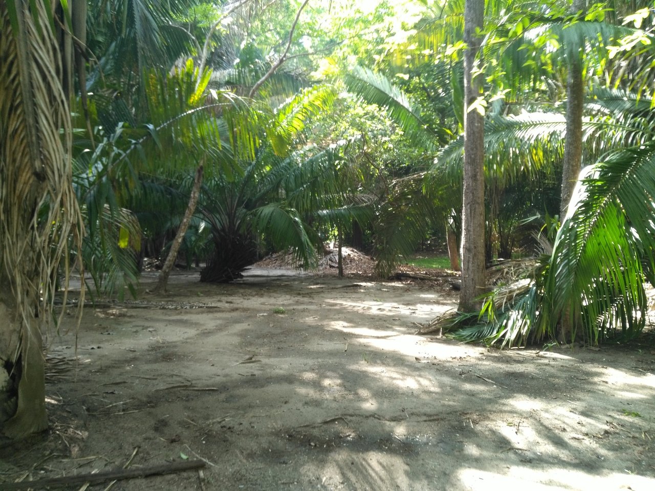 Private Secluded Beachfront Lot, Santa Teresa, Puntarenas