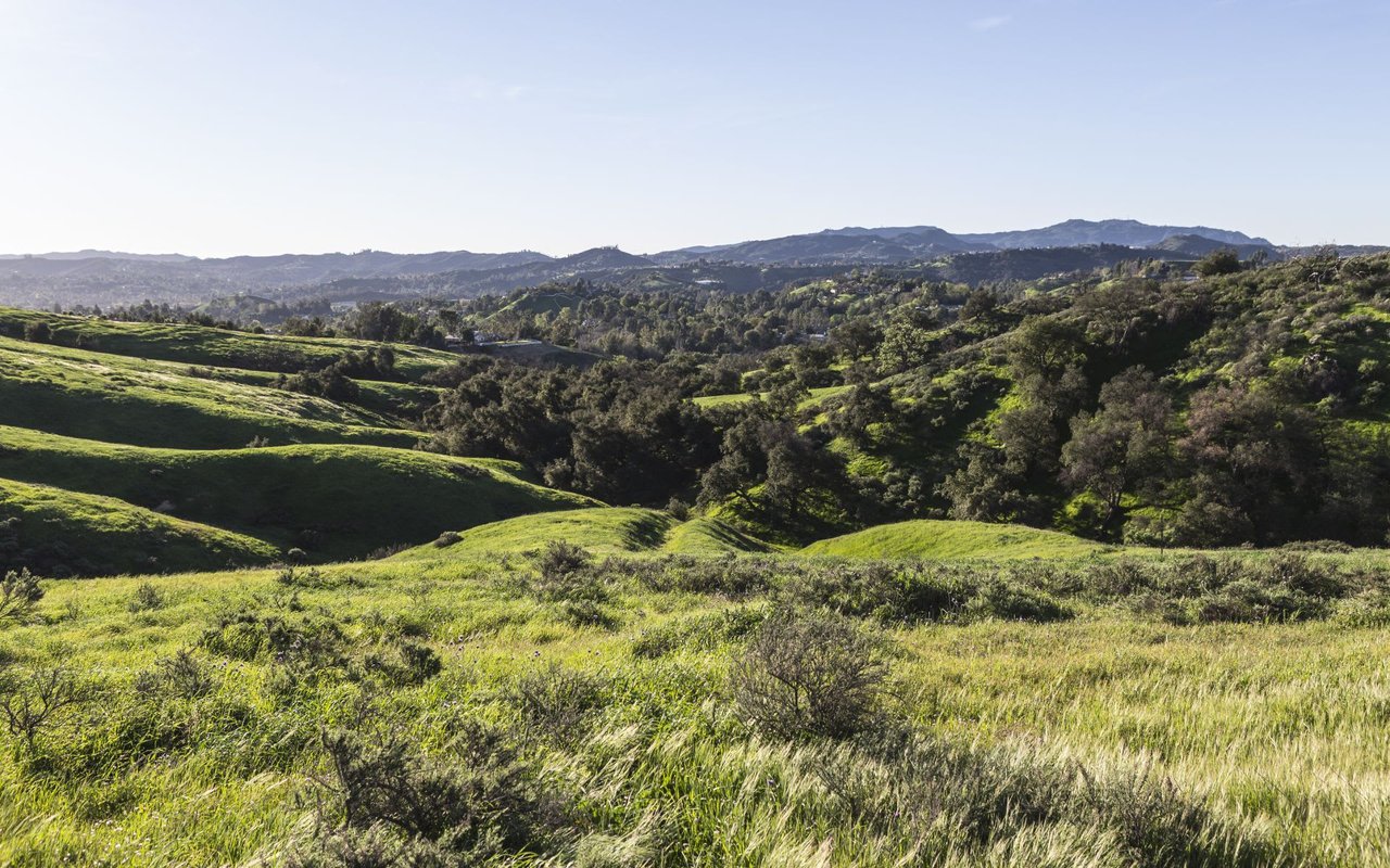 Topanga Canyon