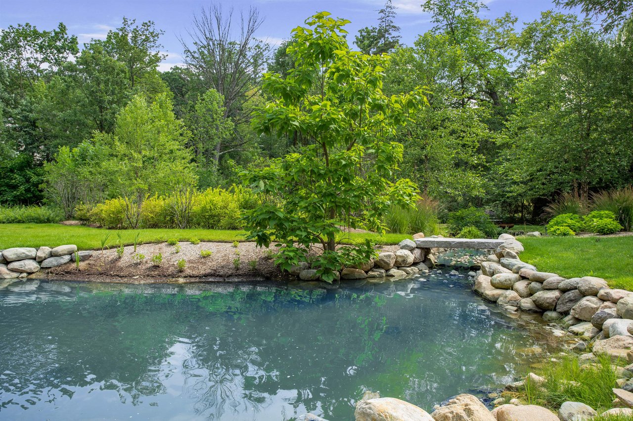 Pond Renovation