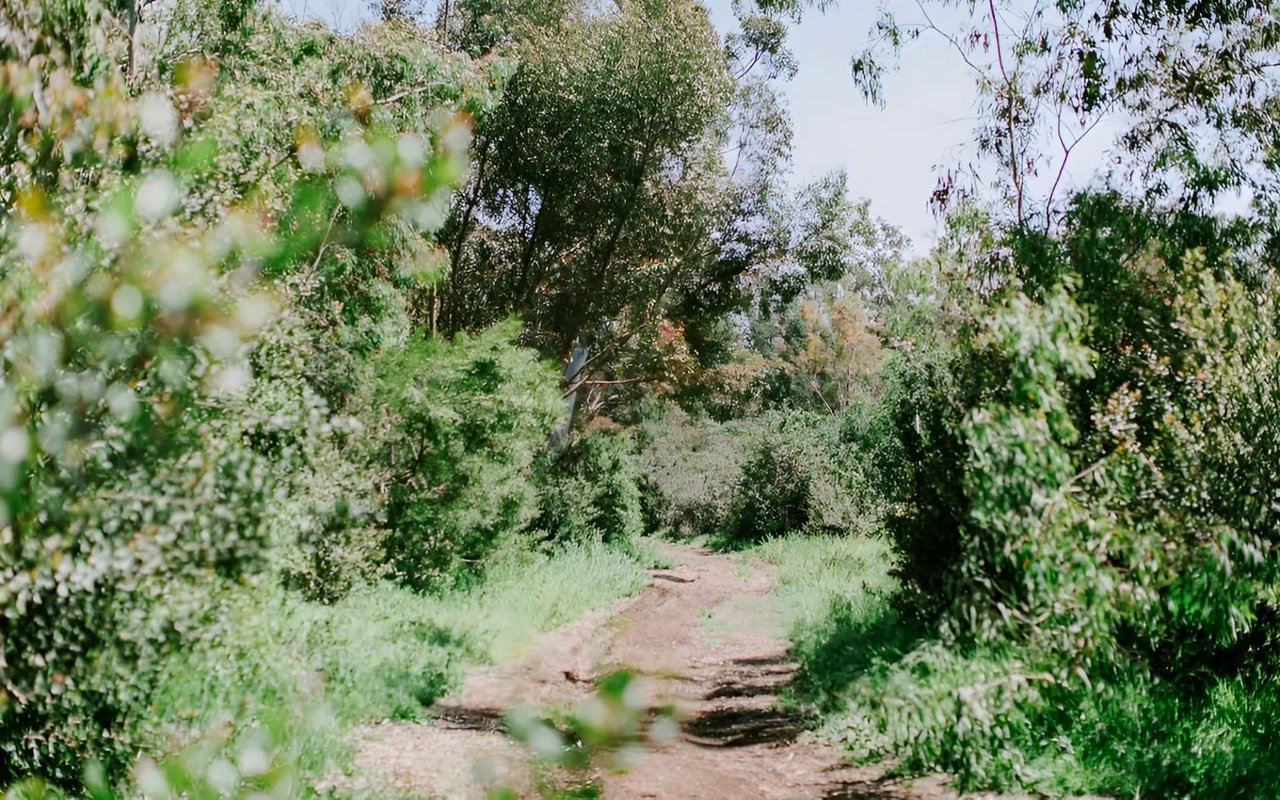 A Guide to Rancho Santa Fe Parks