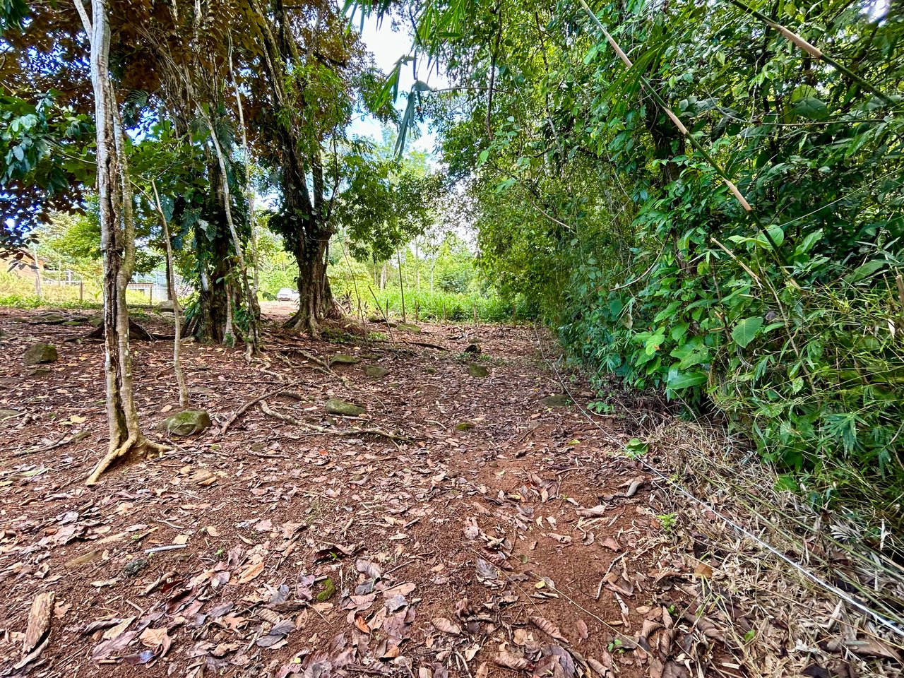 Jungle Side Lots in Uvita, Walking Distance to Amenities