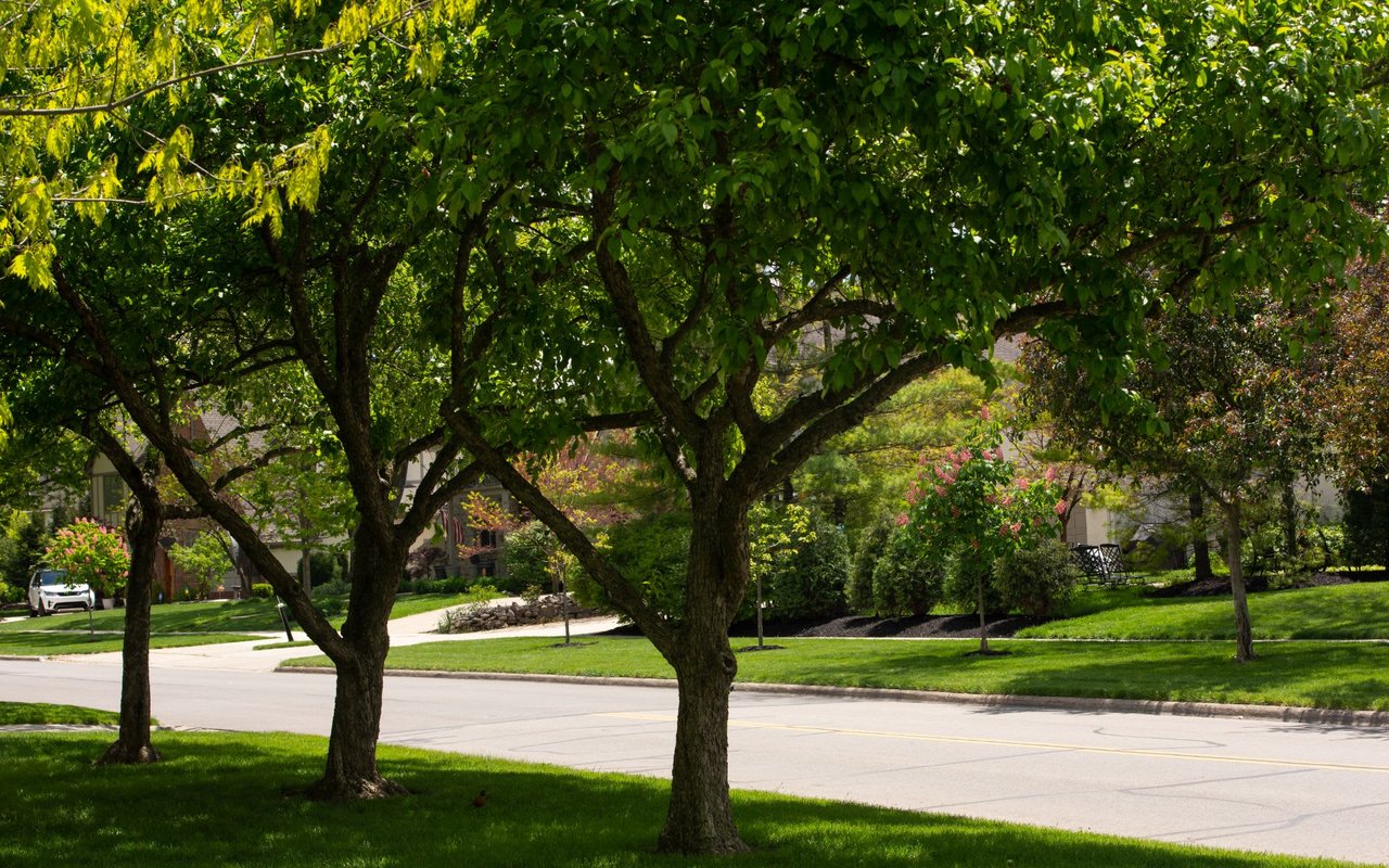 UPPER ARLINGTON