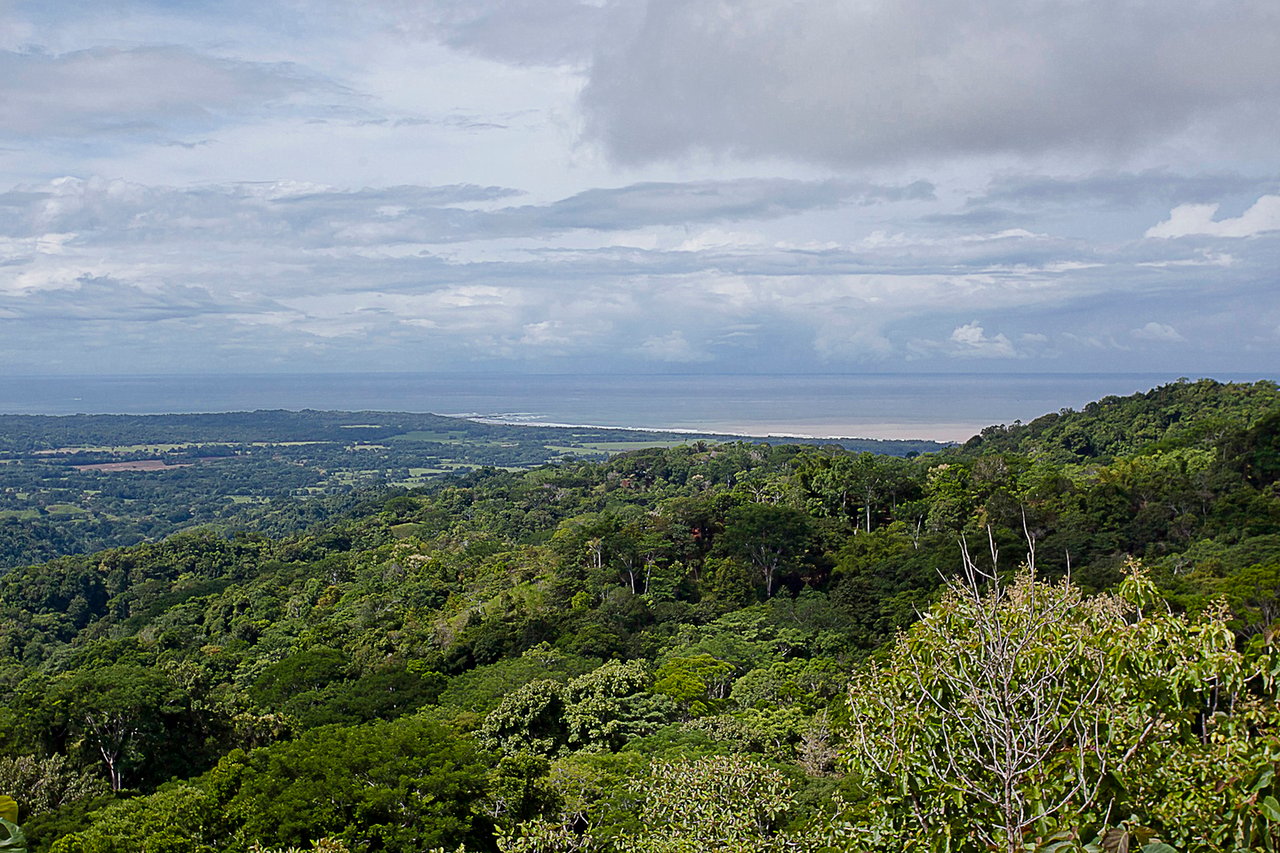 Private Ocean View Development Farm, Jaco, Puntarenas
