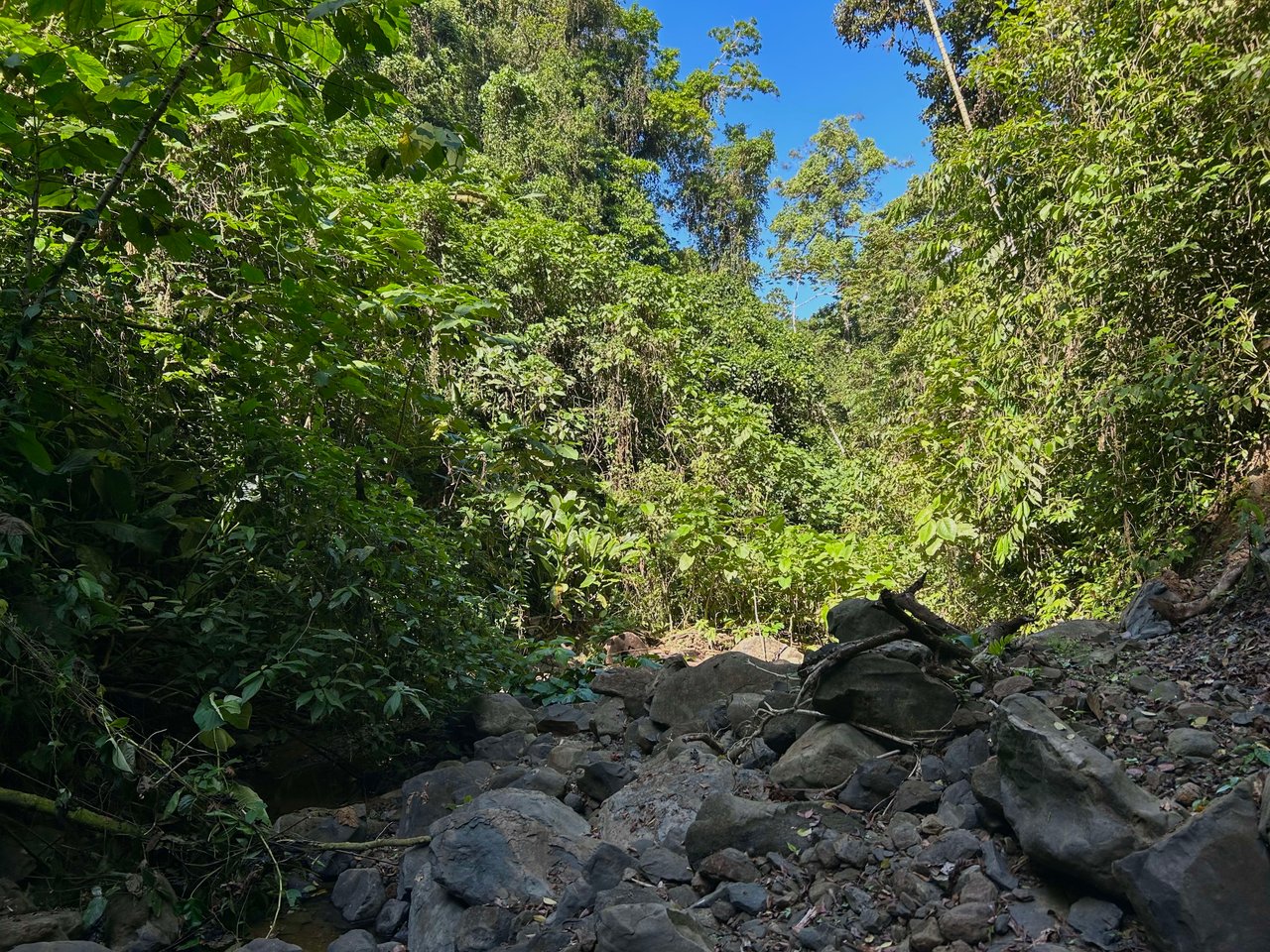 FINCA SINAI DE OSA