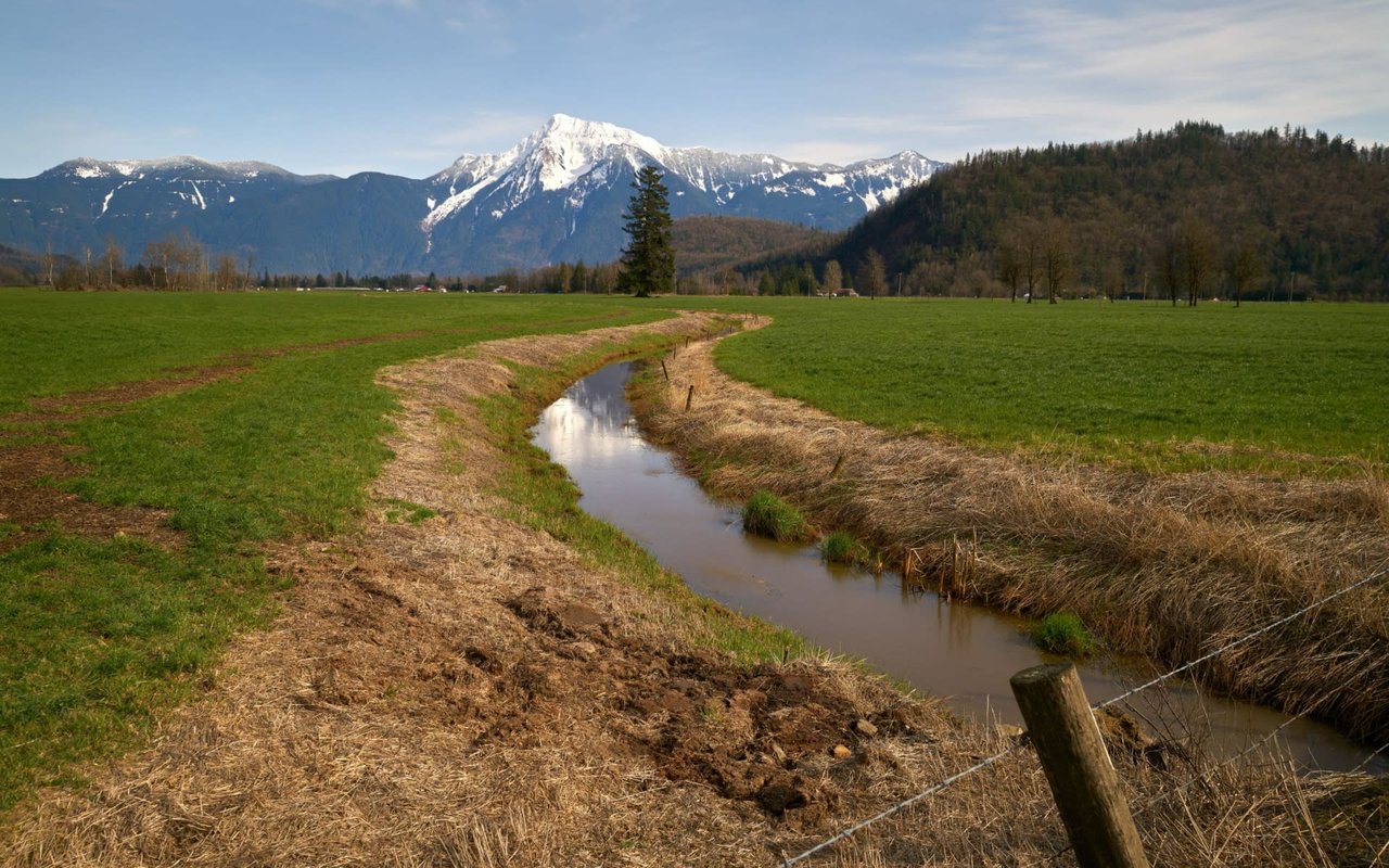 Agassiz and Harrison