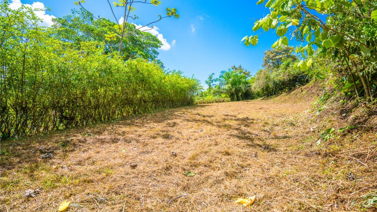 Forest View Build Ready Lot, Ojochal, Puntarenas