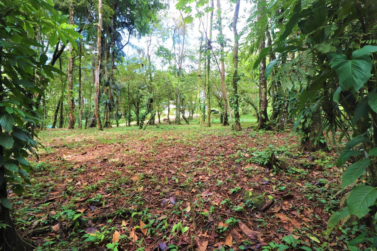 Uvita Prime Commercial Property - 5.9 acres