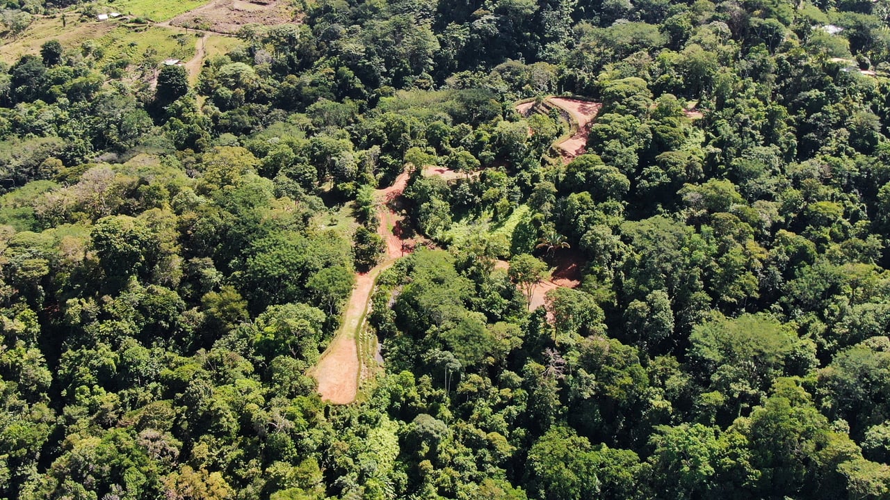 Whale Tail View Development Parcel, Uvita, Puntarenas