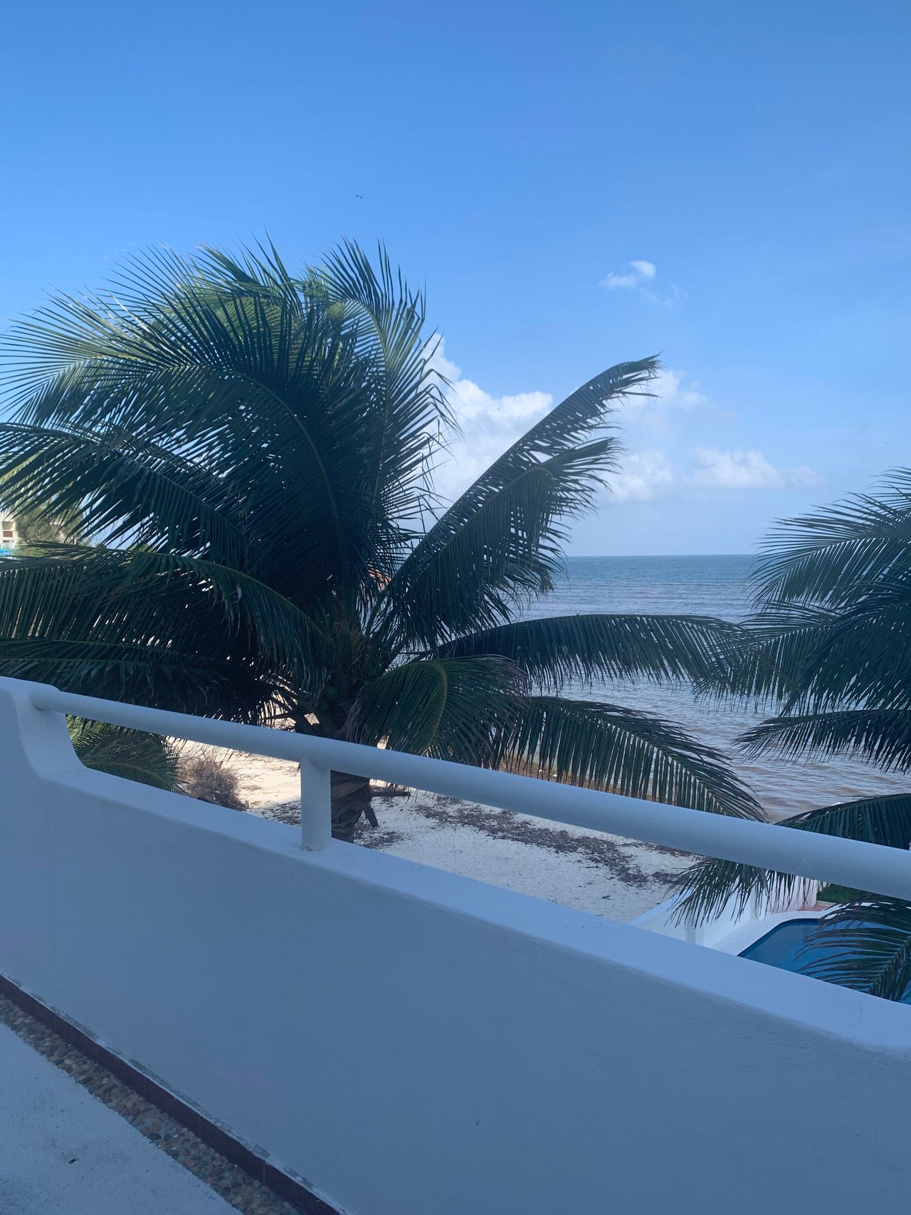 Beachfront House for sale in Puerto Morelos 