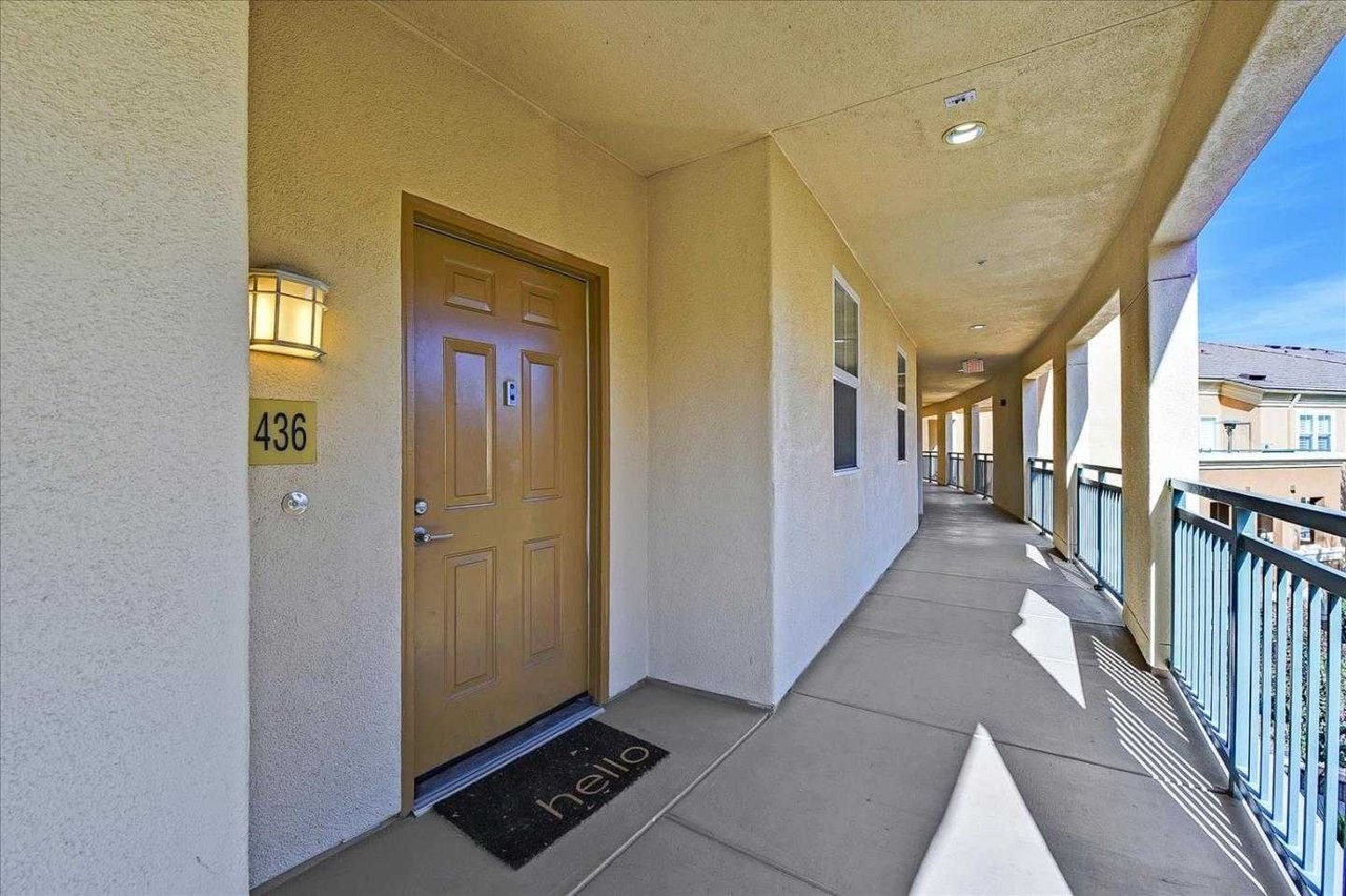 1310 Saddle Rack ST 436