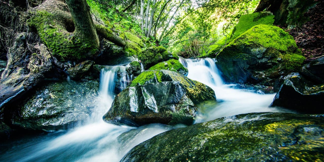 A serene forest stream cascades over moss-covered rocks