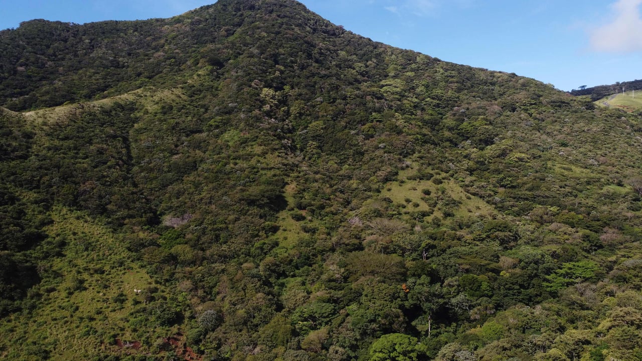 Rio Chiquito Farm | This farm offers an expansive canvas to bring your dreams to life in the majestic Guanacaste mountain rainforest region.