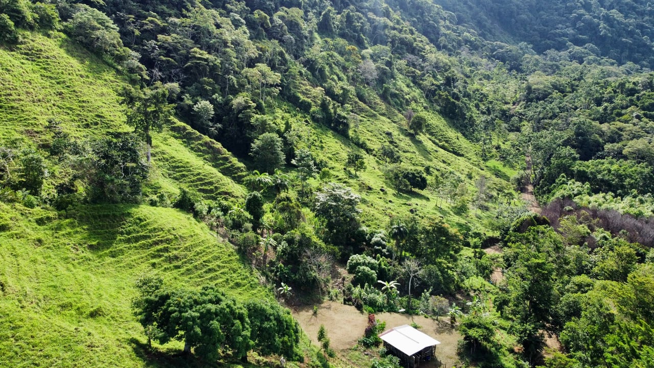 Stunning Ocean View Farm in San Luis de Morete, Over 23 Acres