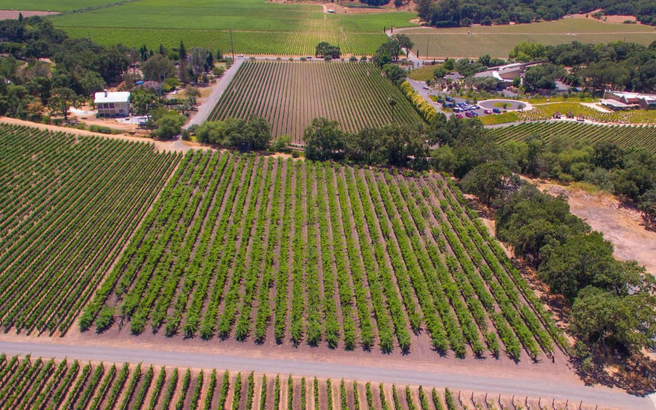Stag's Leap, Napa Valley
